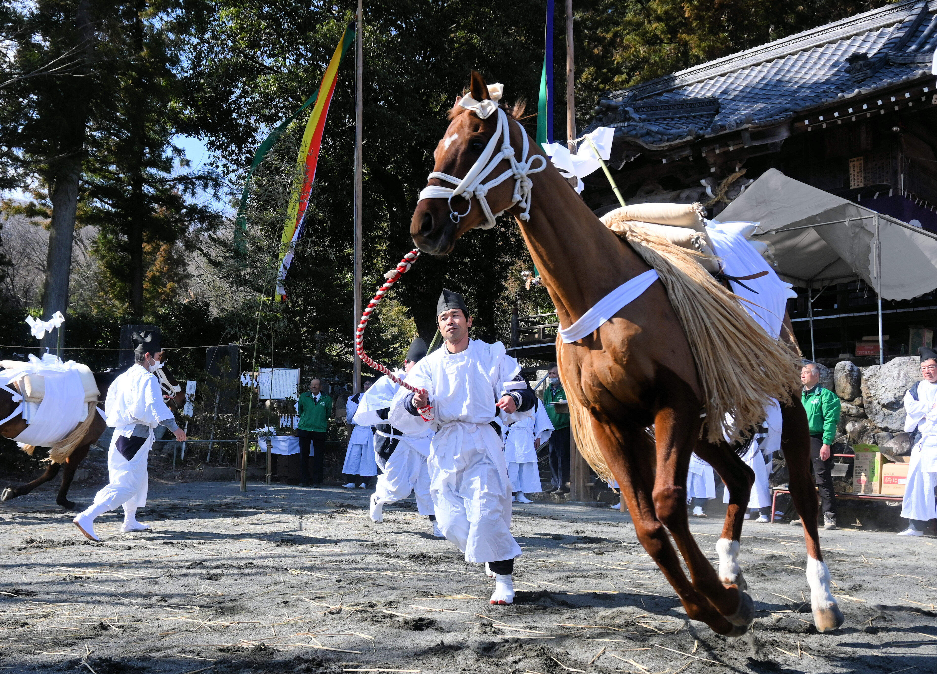 西武線沿線サミットフォトコンテスト　秩父市長賞　お祭りで馬が走る写真です